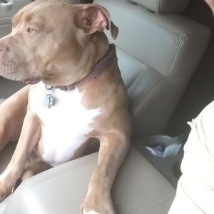 Meet your Posher, Jake